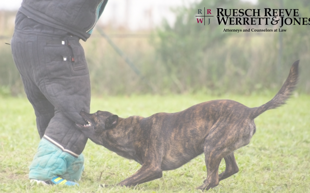 personal injury claim for a dog bite